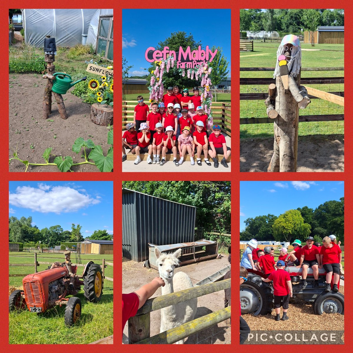 Coed-y-Garn Primary tweet media