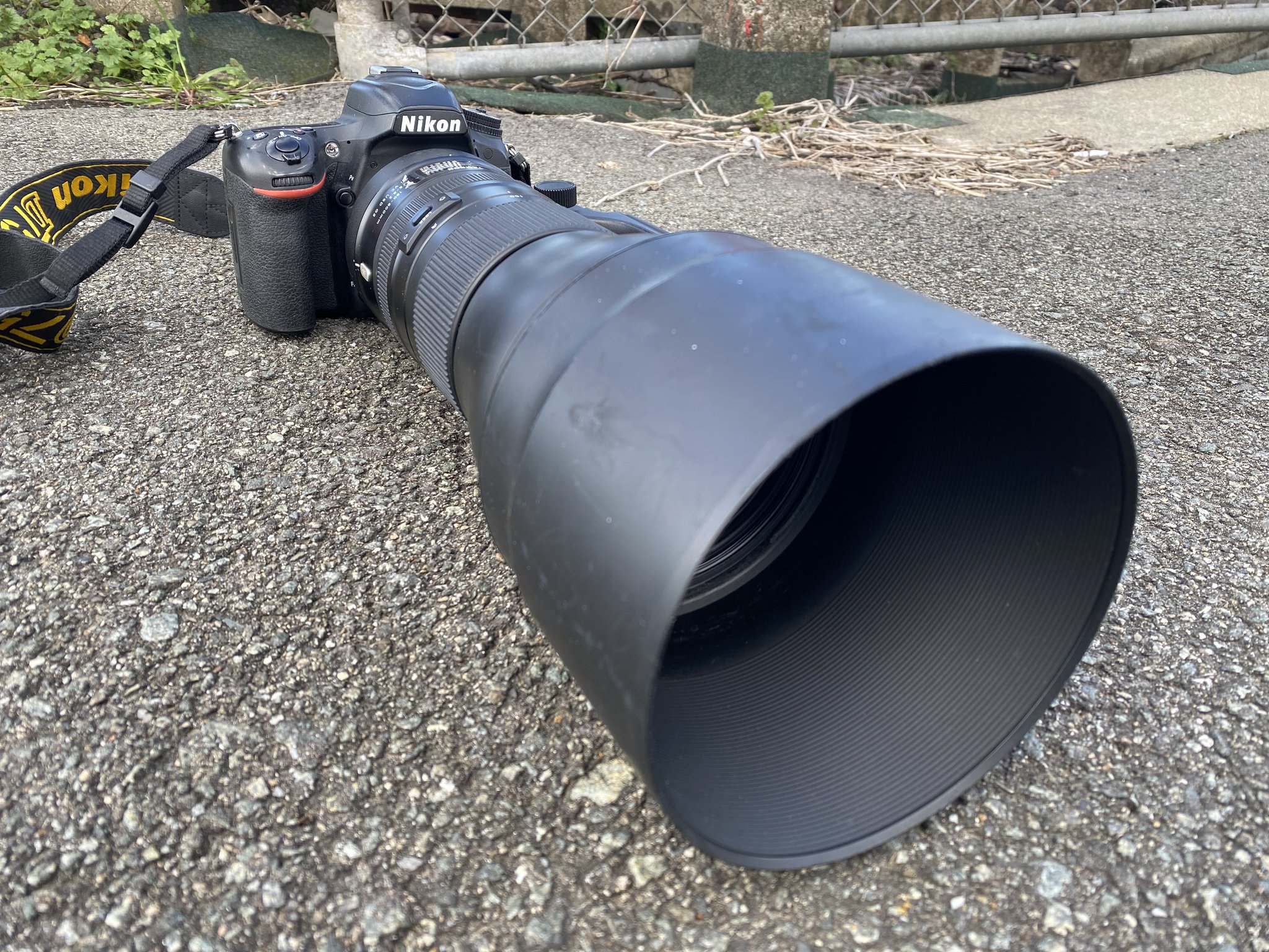 極上品 Nikon D750 Tamron レンズ付 華咲大河(ZAKIX虎)【🏹🤍ྀི】 on X: 