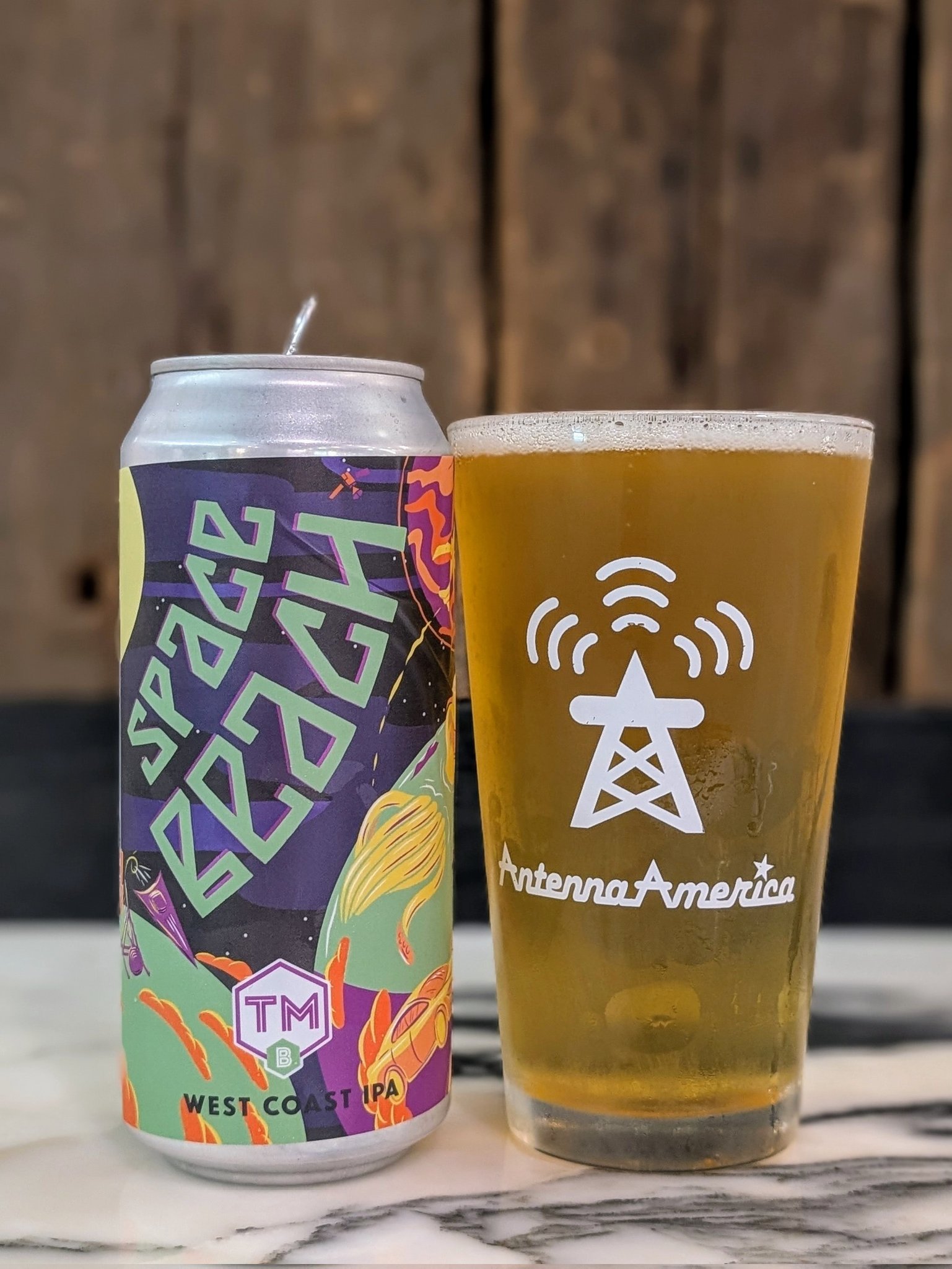 パストゥール　ビールの研究 パストゥール ビールの研究 人文/社会