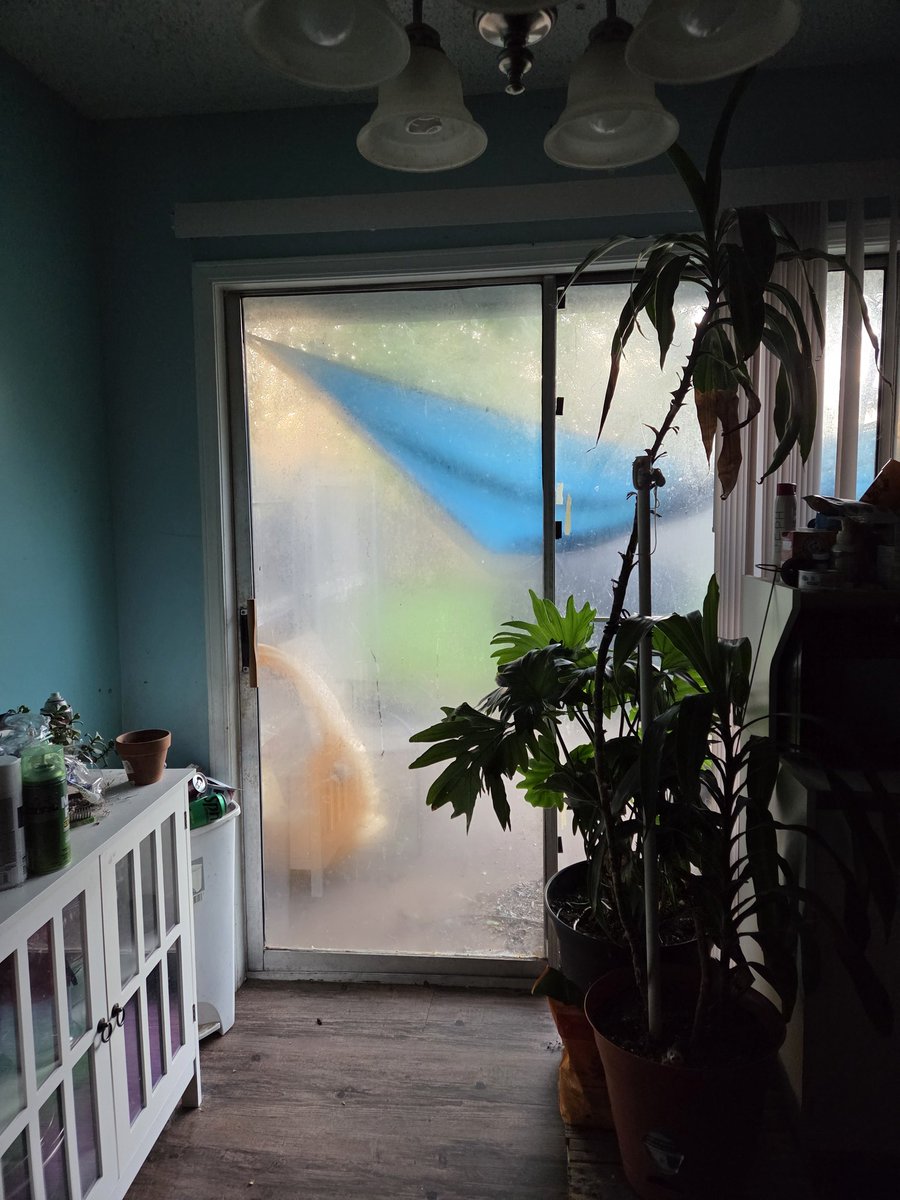 SaraRaeDraper's tweet image. It looks Humid out there....