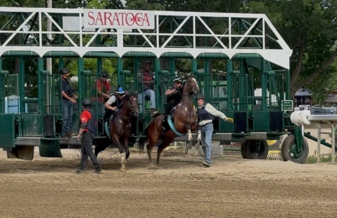 Jumping for joy that it’s officially opening day at Saratoga! We hope everyone has a safe and successful meet.