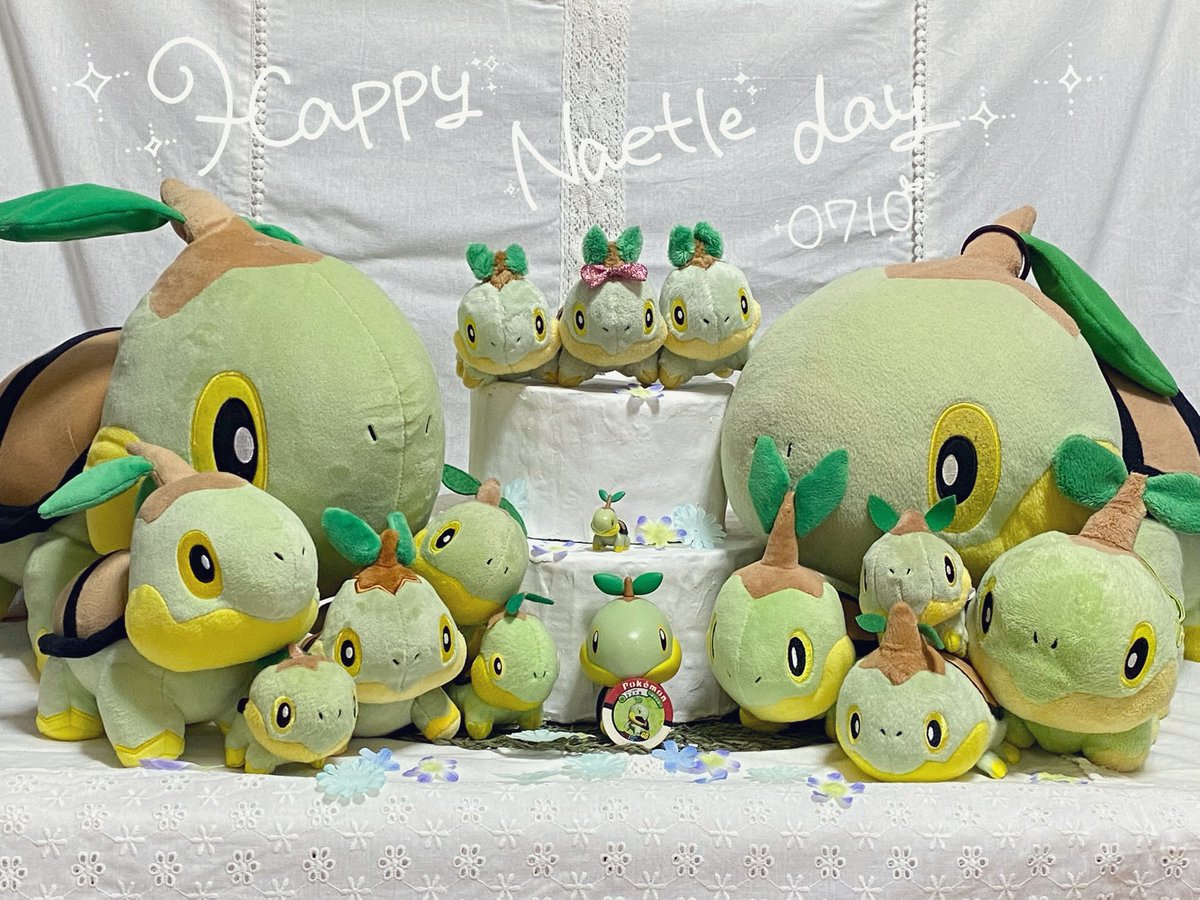 ちっちゃいナエトル tweet media