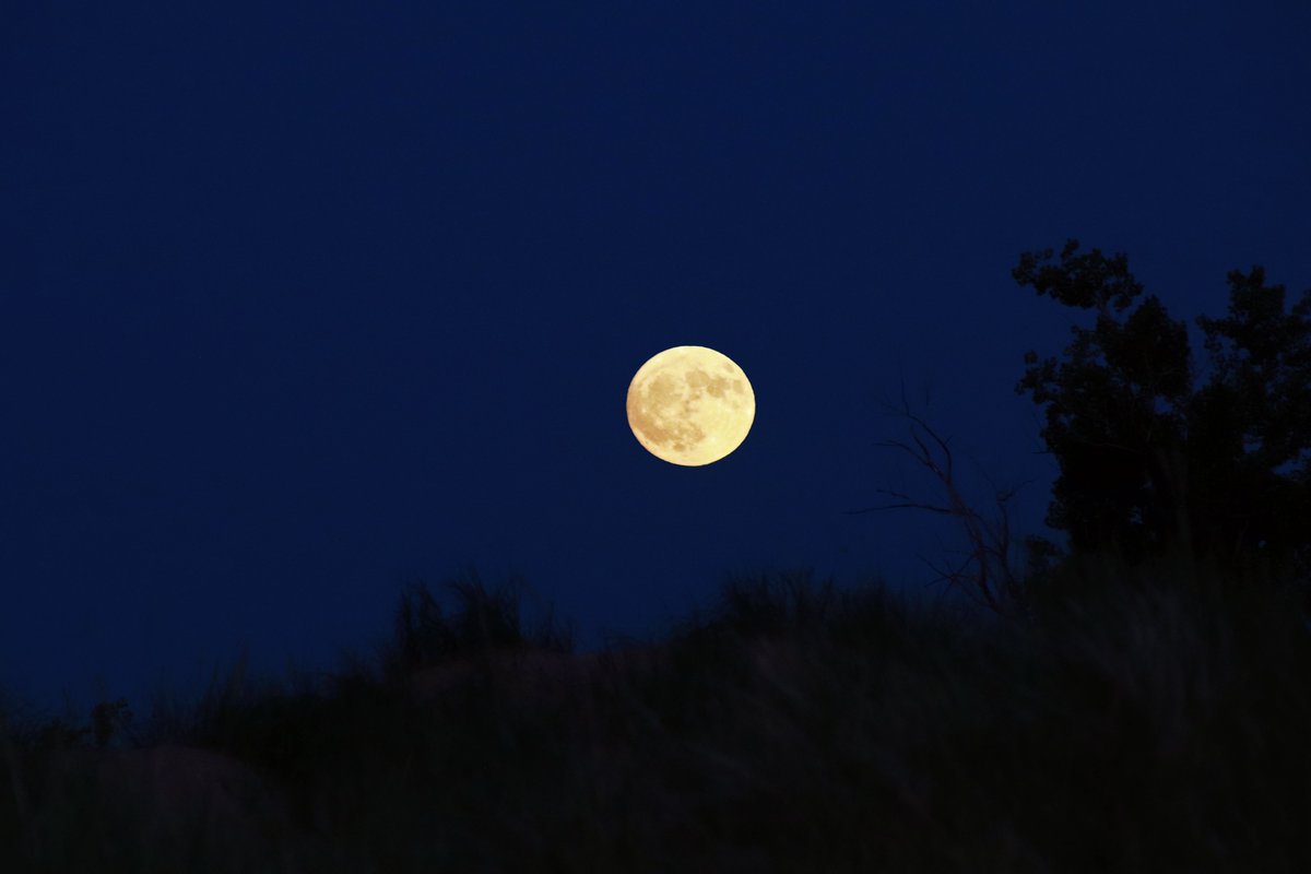 Last night's full "Buck Moon" as it rides the crest of the dunes along the Lake Michigan shoreline. #weather #moon #fullmoon #weatherphoto