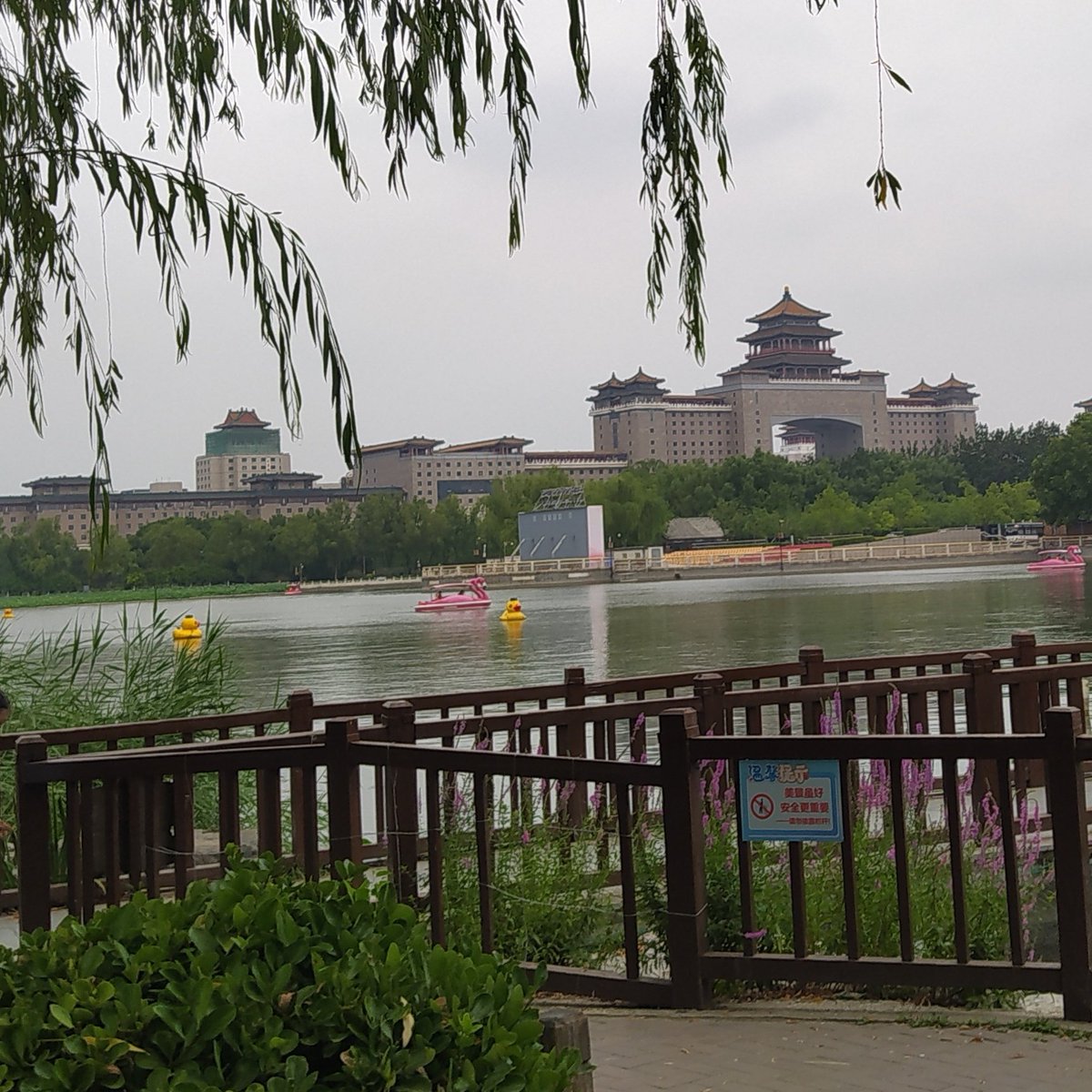 #NouvellePhotoDeProfil