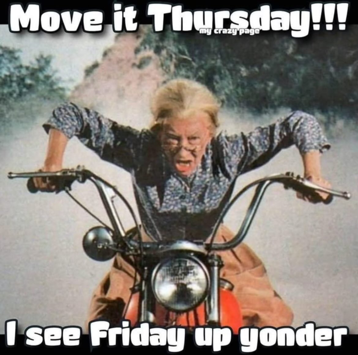PwrStrknHlfPint's tweet image. Tonight will definitely be Thirsty Thursday 😍🍸🍹🧊
Got a long ass day at work grooming 7 dogs 😵‍💫🥴
#letsgetit