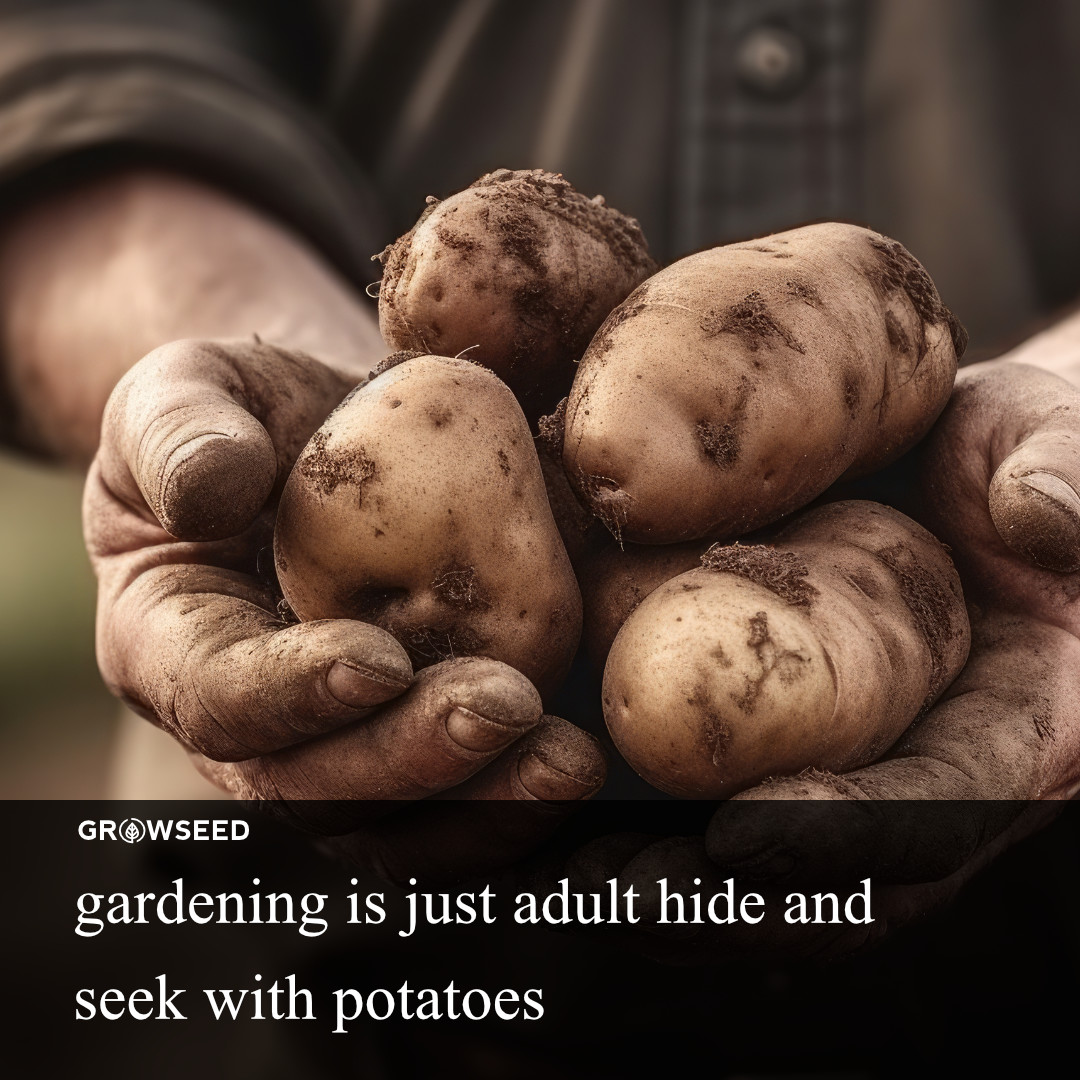 Growseed tweet media