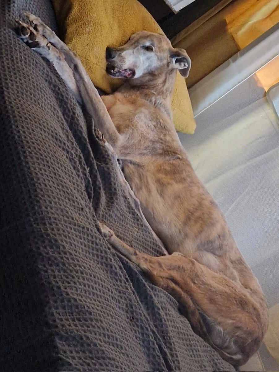 Forever grateful for this beautiful boy. Every, single day ♥️