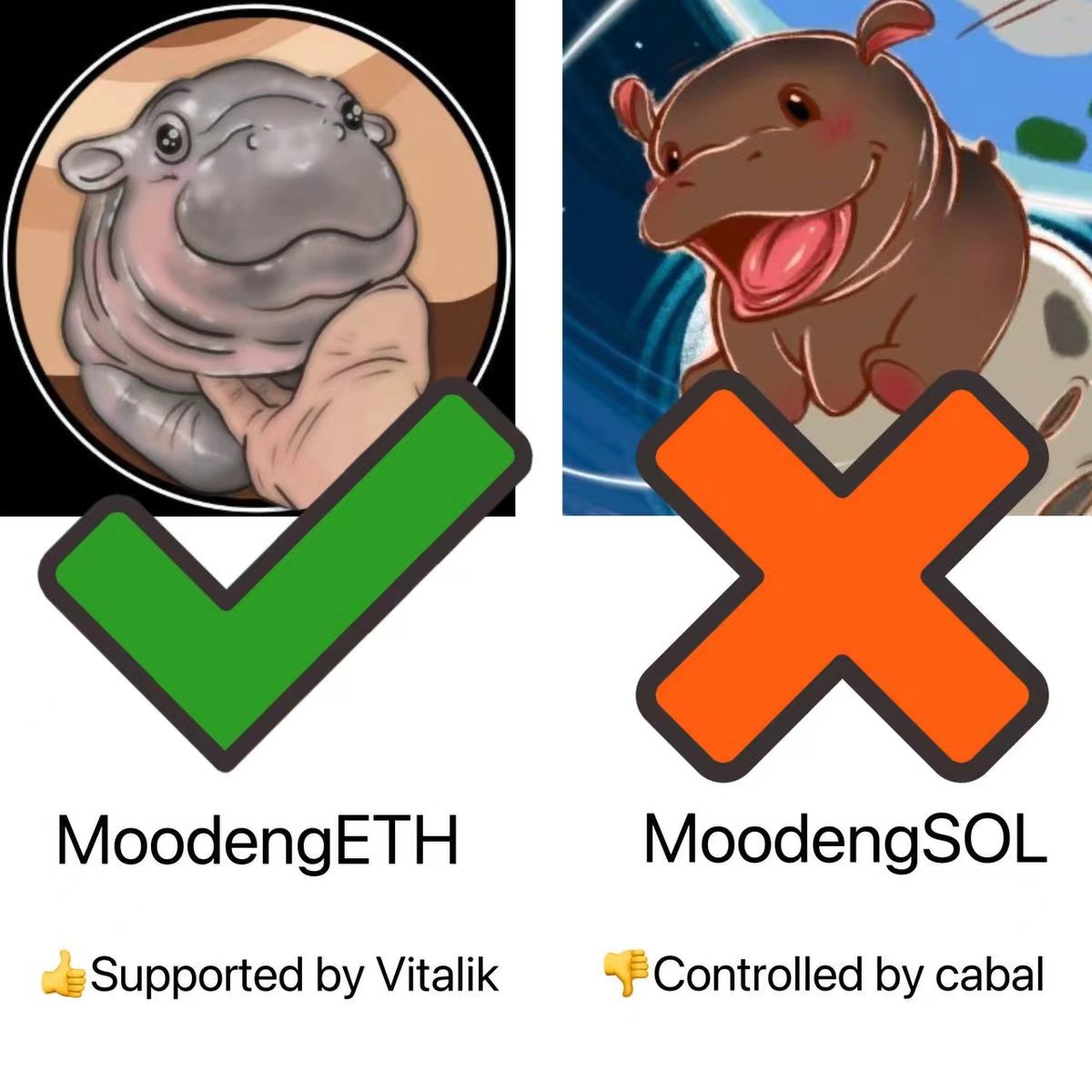 moomooeth's tweet photo. @KrakenDesktop @MooDengSOL #MoodengOnEth @ethmoodengfan https://t.co/uhWb9xvVYh