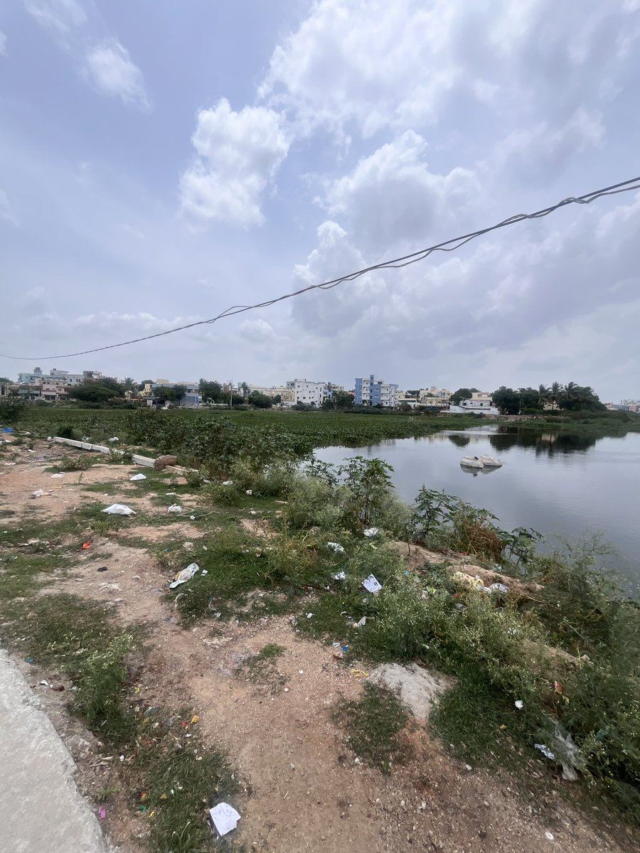 Johnson (@johnsonhatagle) on Twitter photo 🆘 Save Banda Cheruvu Lake Anandbhag ! 🚨 Our precious lake faces drainage connected directly and mosquito 🦟 🦟 🦟breeding in monsoon
<a href="/Comm_HYDRAA/">HYDRAA</a> <a href="/CommissionrGHMC/">Commissioner GHMC</a> <a href="/SELakesGHMC/">Supdt.Eng Lakes GHMC</a> <a href="/GHMCOnline/">GHMC</a>
spread the word, & protect our lakes💧 #SaveOurLake 🆘 Save Banda Cheruvu Lake Anandbhag ! 🚨 Our precious lake faces drainage connected directly and mosquito 🦟 🦟 🦟breeding in monsoon
<a href="/Comm_HYDRAA/">HYDRAA</a> <a href="/CommissionrGHMC/">Commissioner GHMC</a> <a href="/SELakesGHMC/">Supdt.Eng Lakes GHMC</a> <a href="/GHMCOnline/">GHMC</a>
spread the word, & protect our lakes💧 #SaveOurLake