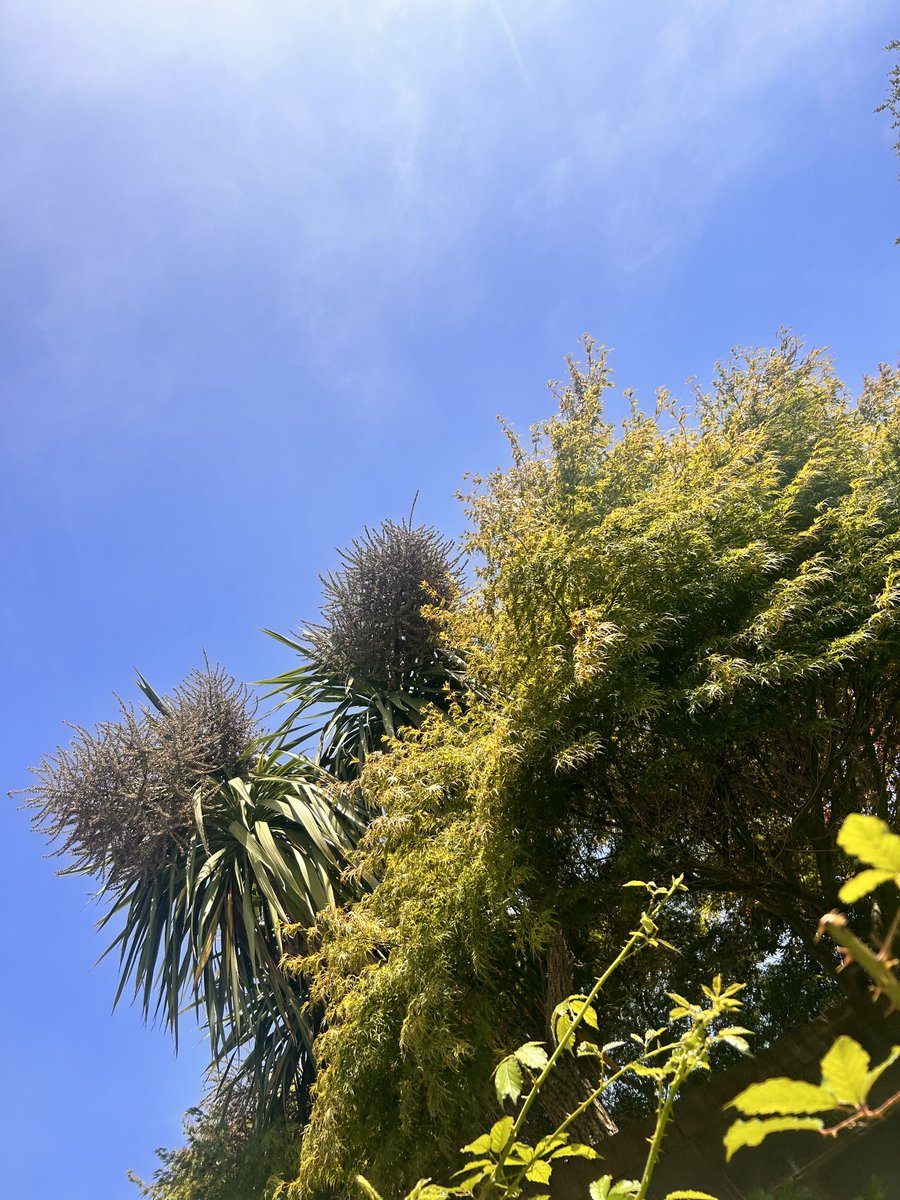 Caramel04519750's tweet image. What a fantastic sunny day to be off work! @Dublin @ireland😍😎