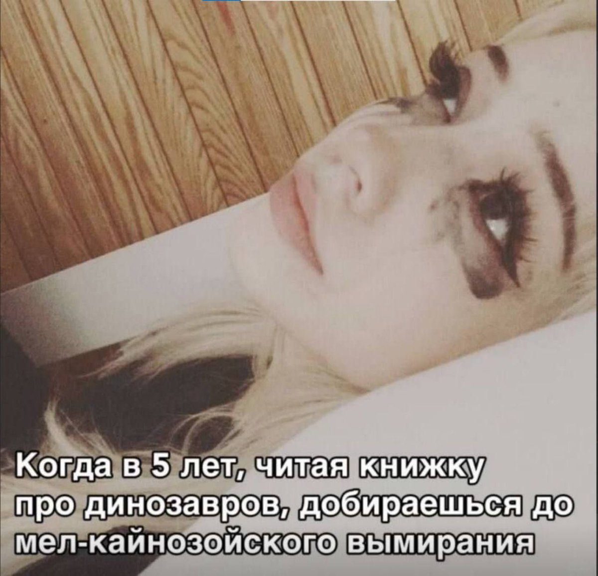 Гиперборя Таренков ☦️ 🇷🇺 (@pudgeoffcial1) on Twitter photo 