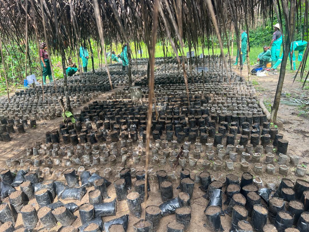 ecosteward1's tweet image. We’re not just teaching agroecology, we’re raising a generation of young agroecologists!
From school clubs to farms, youth across Africa are protecting seeds, restoring soil & championing food justice.
Join the movement: tinyurl.com/AgroecologyMov…
#Youth4Agroecology