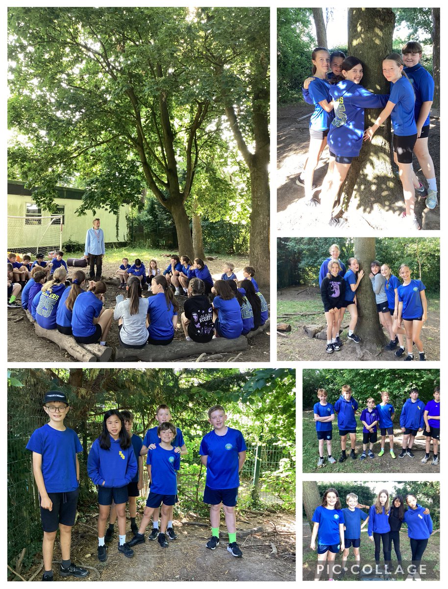 Final forest school - super memories made.