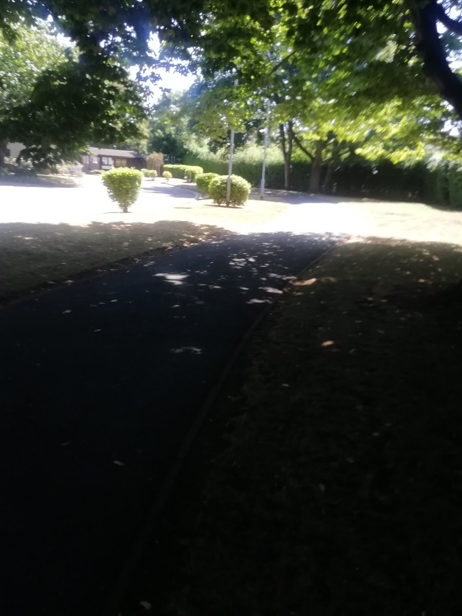 Under the tree 😎 best place for me this weather ☀️🥵😎