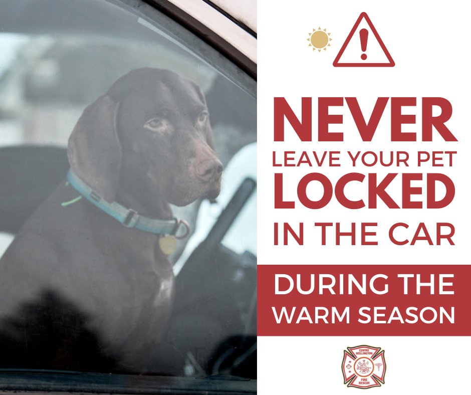 Leaving your pet in your car on a warm day can be deadly. When in doubt, it's best to leave your furry companion at home. For more information, please visit ontariospca.ca
