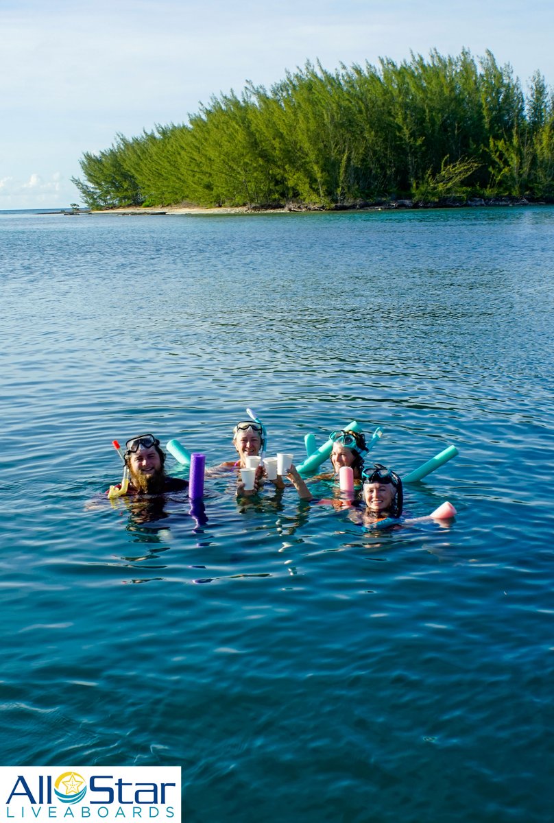 We can't think of a better way to spend a surface interval!

~The Bahamas

#allstarliveaboards #aquacat #blackbeardcruises #catppalu #bahamas #poolnoodles #surfaceinterval #caribbean #scuba #liveaboard #buceo #bahamasdiving