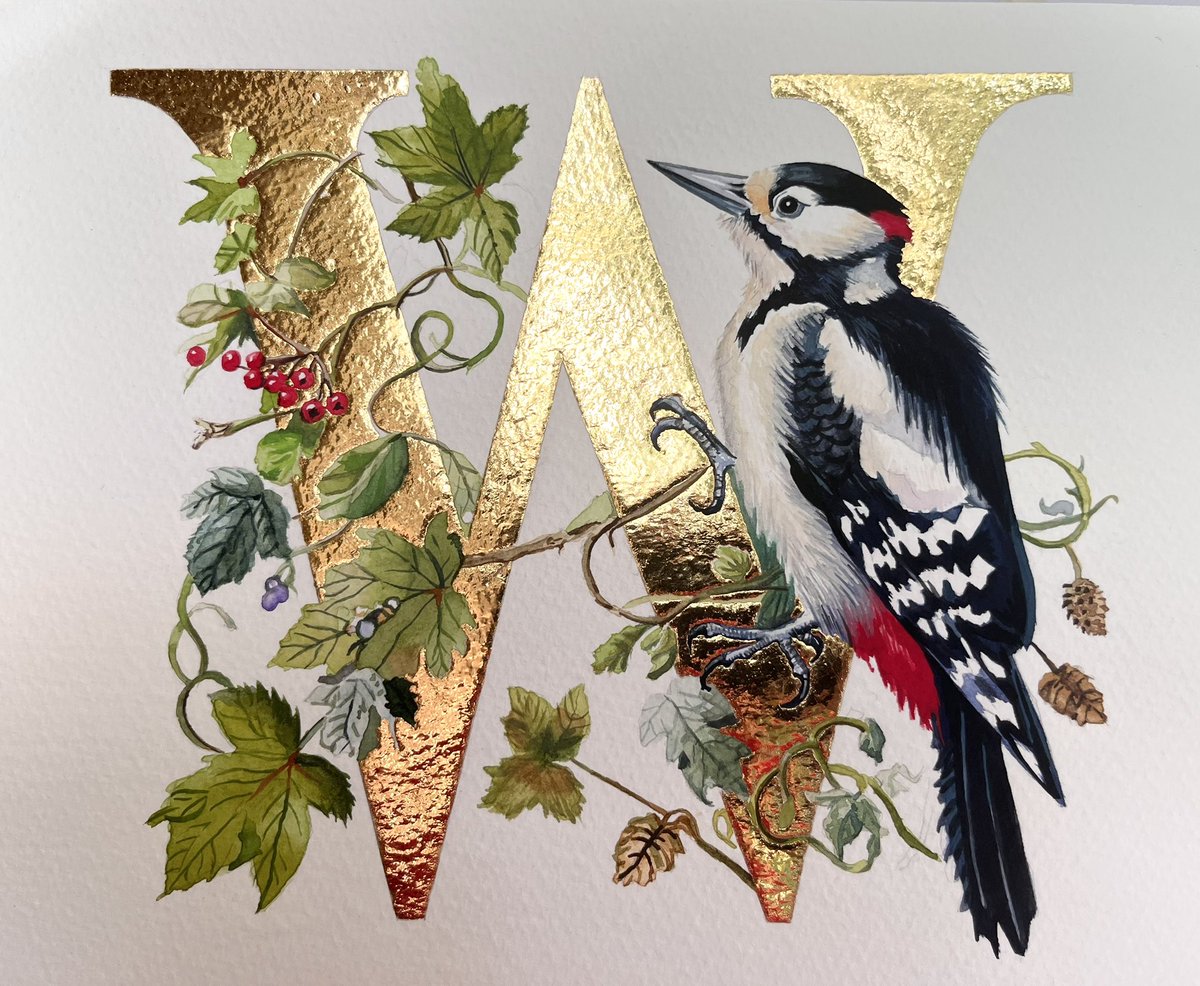 ‘W’ is for Woodpecker
Watercolour, gouache and 24k gold
21 x 28 cms
By Sheila Wallis, 2025