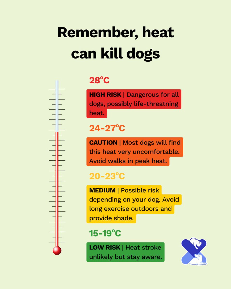 Hot weather can be deadly for dogs 🐶

⚠️ 24°C+ is risky
🔥 28°C+ can be life-threatening
💧 Stay cool: shade, water, no mid-day walks

#DogHeatstroke #UKPetDrugs #SummerPetCare #DogHealth