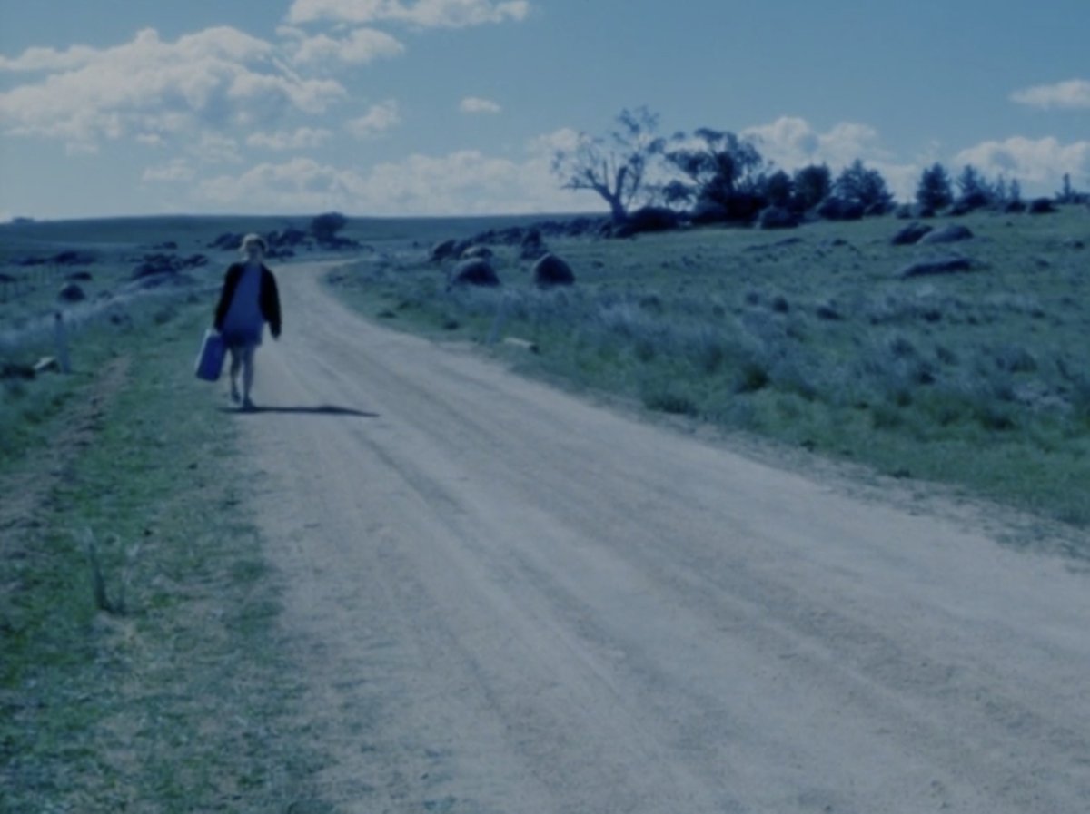 sis morphia tweet media