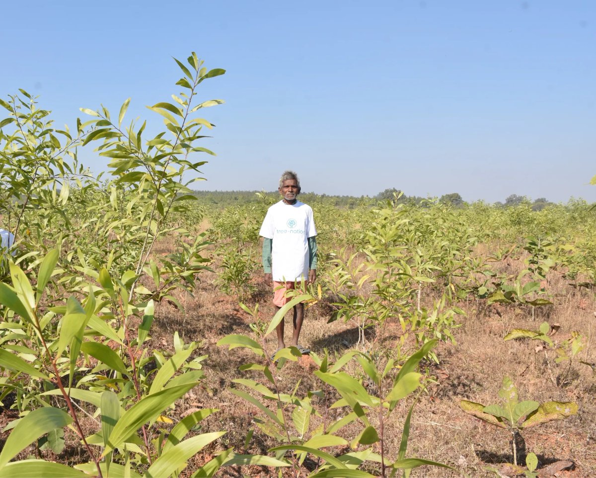 A quick glimpse of one of our planting sites in India—featuring one of the many community members helping to plant and care for the trees.

#India #TreeNation #Tree