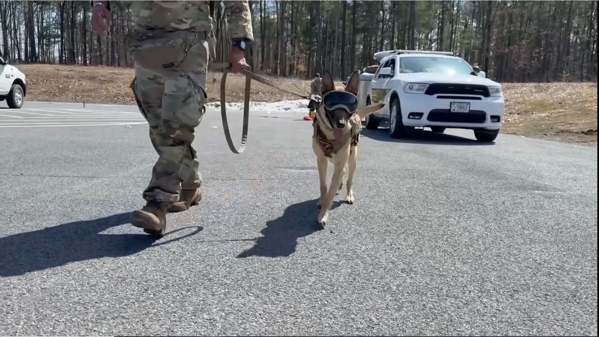drum10thmtn's tweet image. Military working dogs. Head to YouTube and see the power of partnership in action. You might just discover your next calling.

Watch here: tinyurl.com/3y8kyhmn  

 #K9Unit #ArmyStrong #10thMountainDivision #Climbtoglory