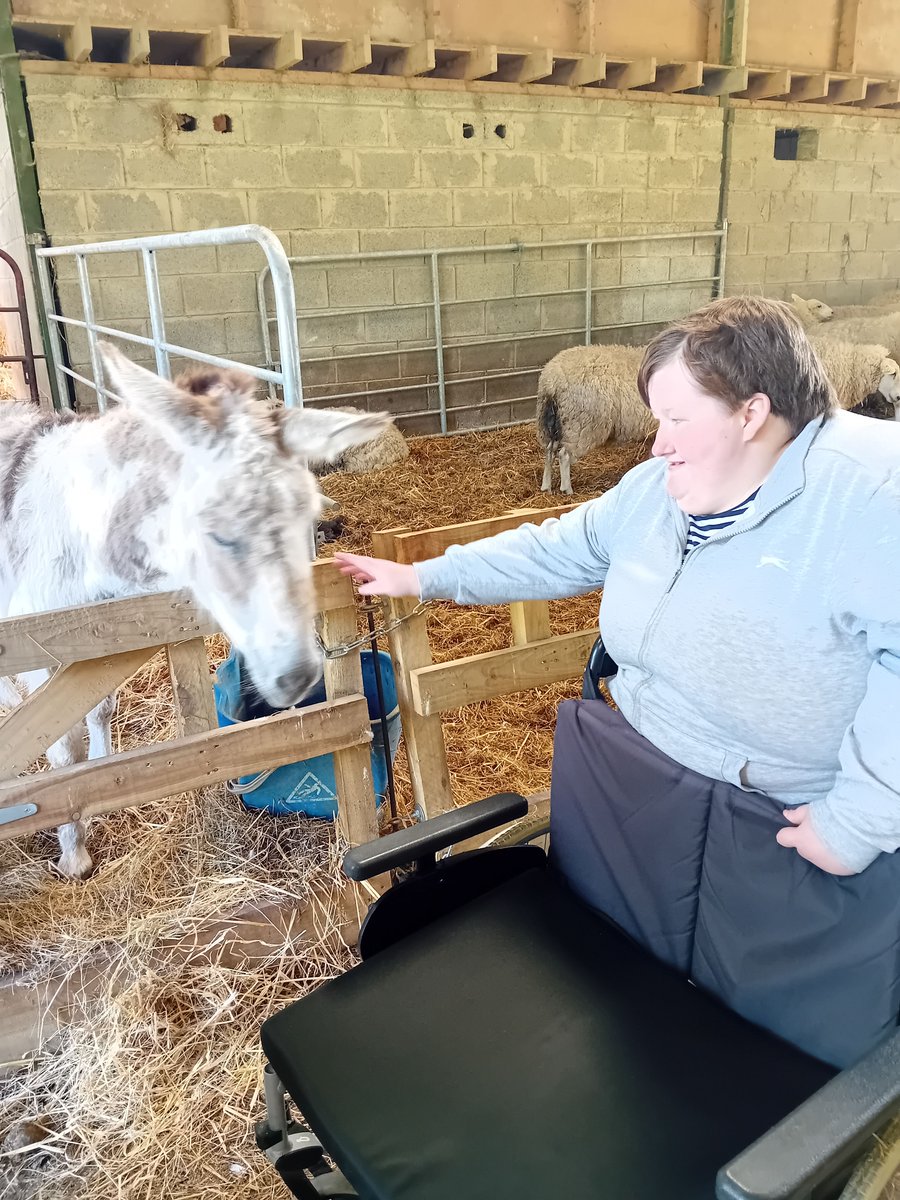 EnableIreland's tweet image. Well done to Orla!
Orla attends our adult services in Arklow. For the last few weeks, she has been lending a hand at @Lairdhse06. Orla has learnt how to make a chicken coop and plant flowers. She has also been tending to the horses and lambs. 🐴🐷