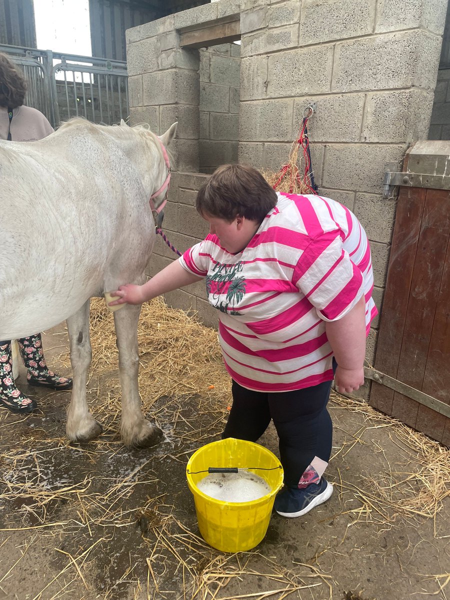 EnableIreland's tweet image. Well done to Orla!
Orla attends our adult services in Arklow. For the last few weeks, she has been lending a hand at @Lairdhse06. Orla has learnt how to make a chicken coop and plant flowers. She has also been tending to the horses and lambs. 🐴🐷