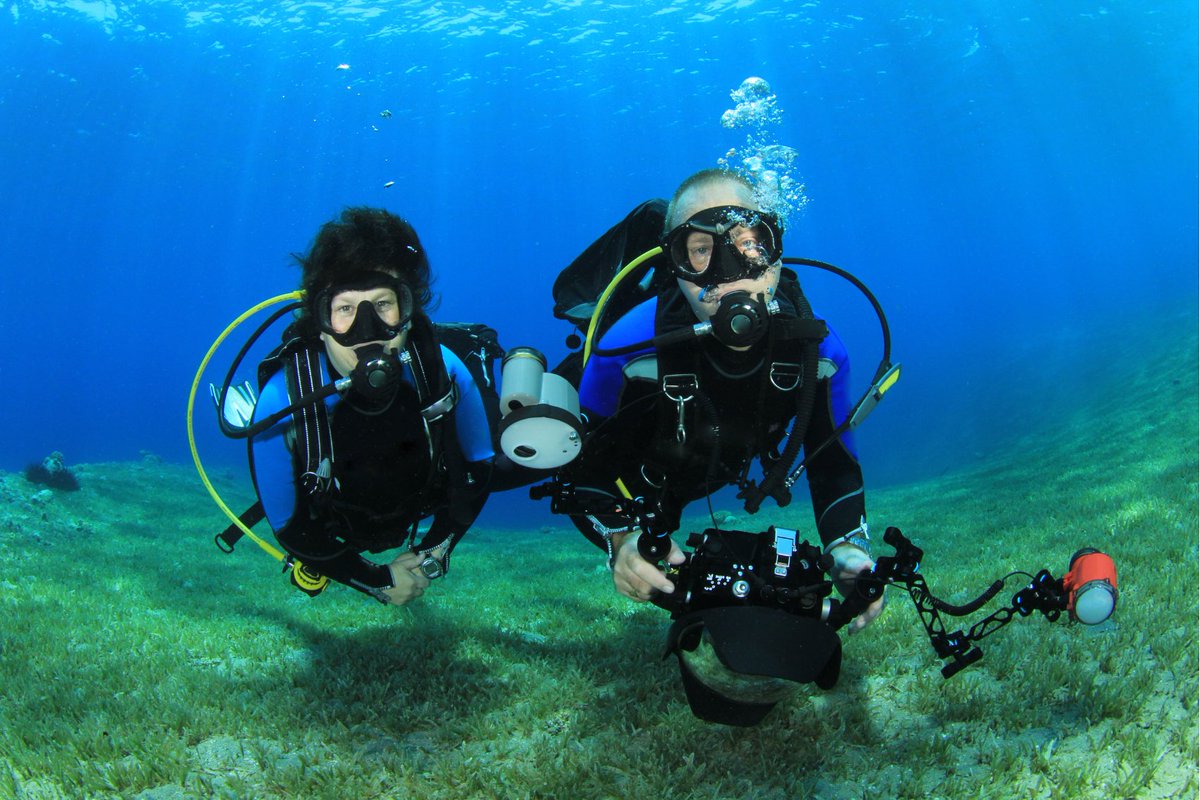 Con la experiencia Bautismo de Buceo, no necesitas ser un experto para descubrir el mundo submarino. Te llevamos en barco, te damos todo el equipo, y un monitor que te acompaña para que solo te preocupes de disfrutar y saludar a los peces 🐠🐟.
f.mtr.cool/etywulwapx
#verano