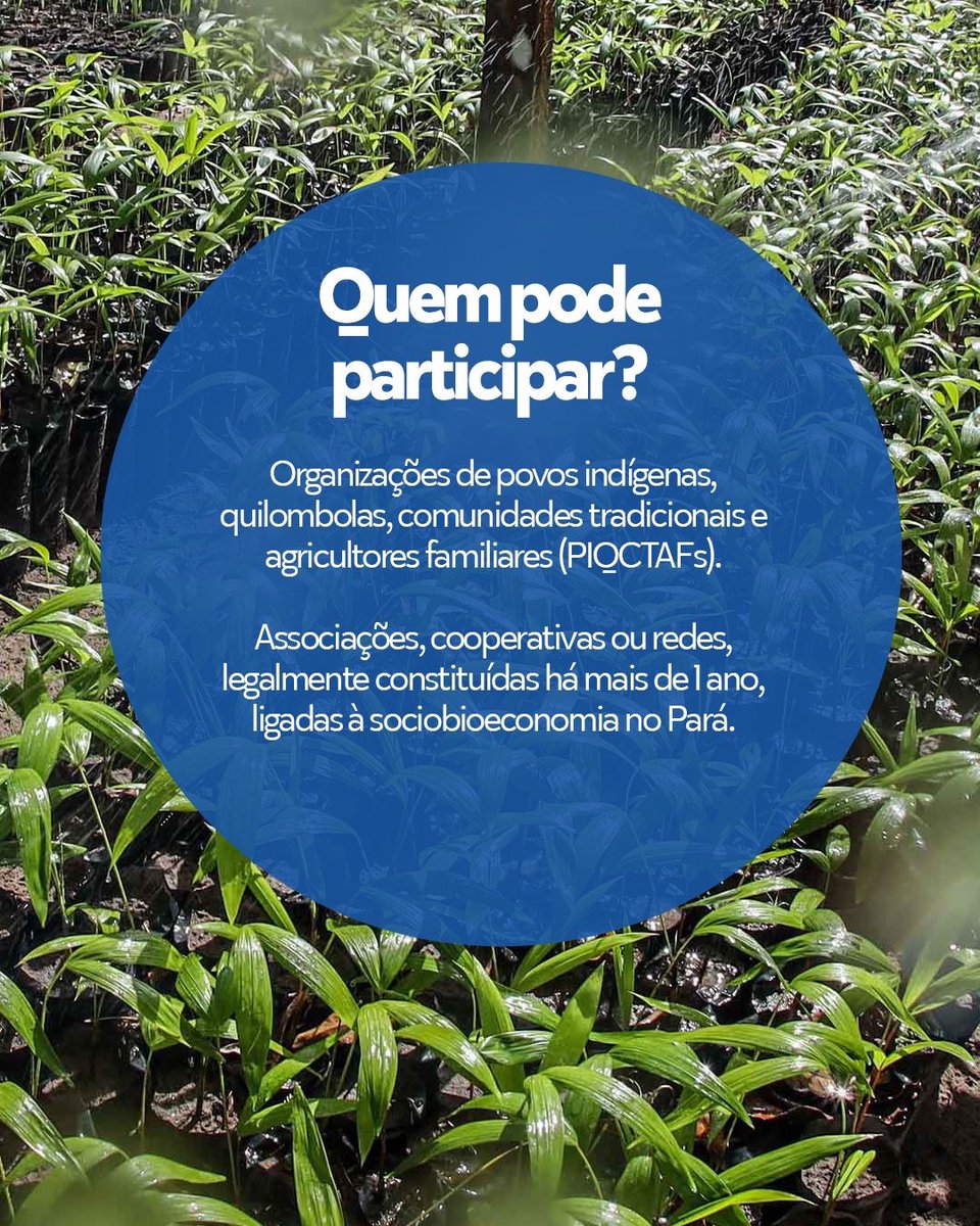 Semas Pará tweet media