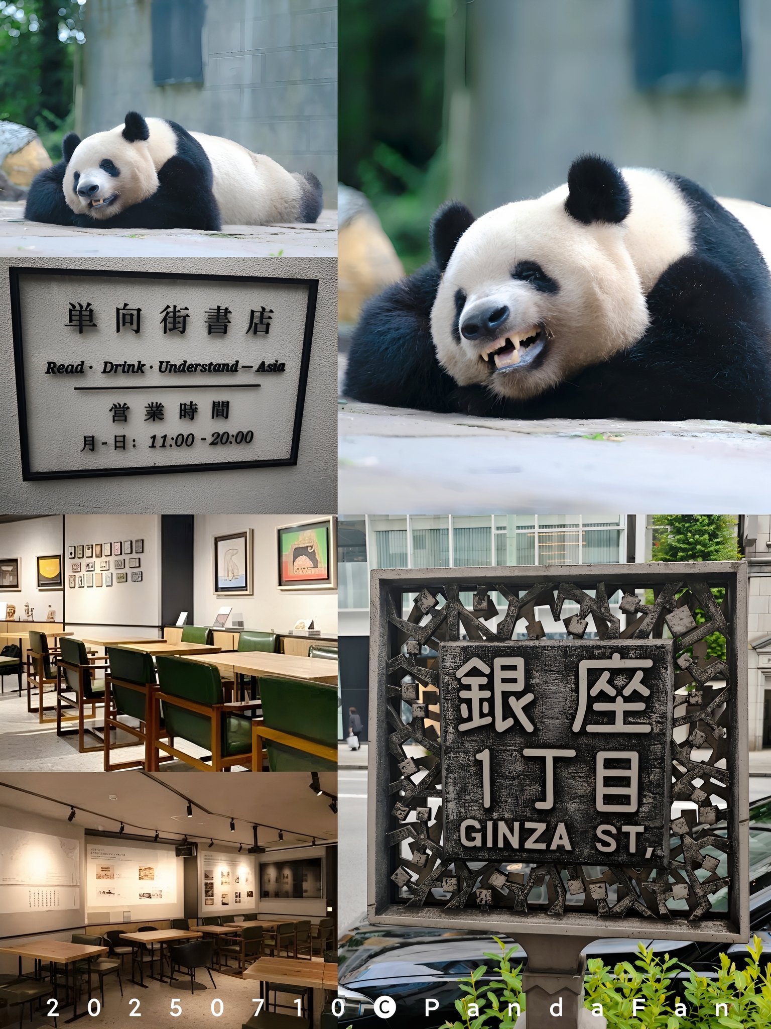 ⭐︎シャンシャンです、5本⭐︎ 毎週シャンシャン (@XiangXiangPost) / X