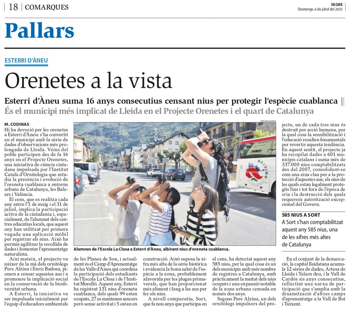 El <a href="/SEGREcom/">SEGRE</a> destaca l'efemèride de 16 anys consecutius fent el cens d'oreneta cuablanca #DelichonUrbicum a #EsterridÀneu. Gràcies a la tasca de tots els alumnes que han fet el cens durant aquests anys a #Esterri i #Sort s'han aportat dades a la ciència x protegir aquesta espècie