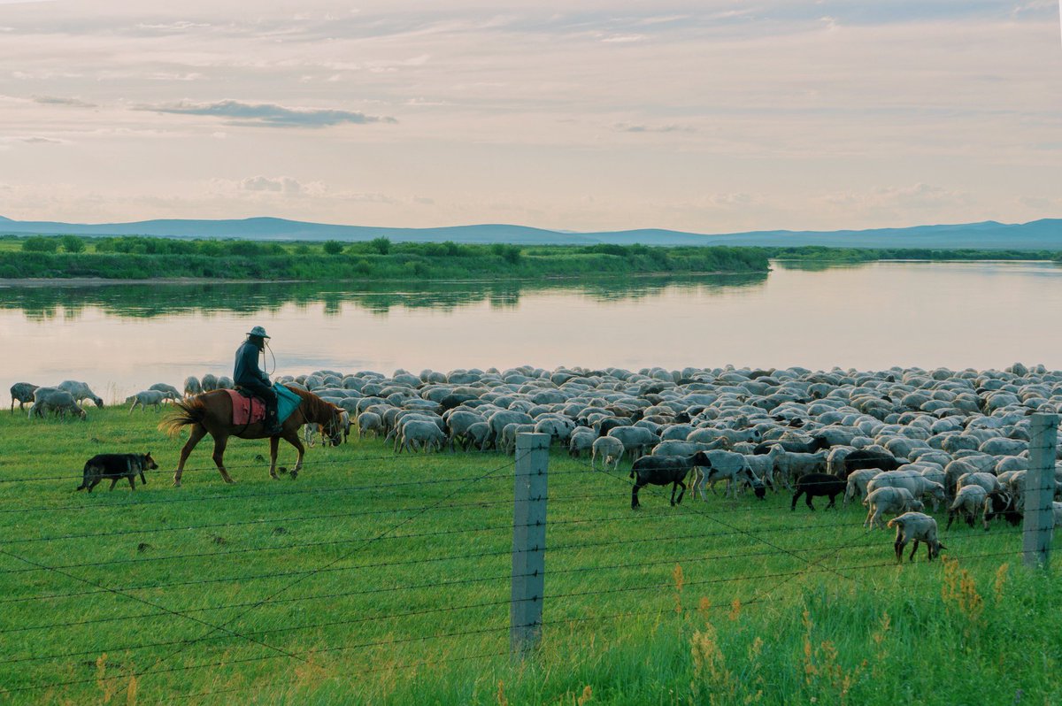 Summer days in Hulunbuir! ☀️