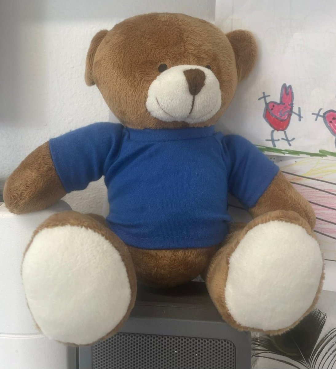 Warwick Bear- the class bear for reception class at Dordon- had such fun at Polesworth Carnival he has forgotten his way home. If you find him, please return him as 23 children are missing their friend!!