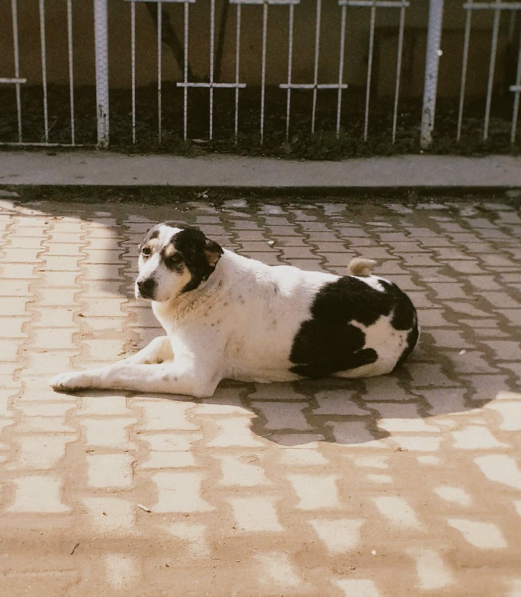 OnNumara tweet media