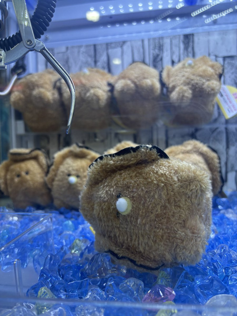 茶色の牡蠣ちゃんあった🩷
きゃわいすぎる🩷🩷🩷🩷