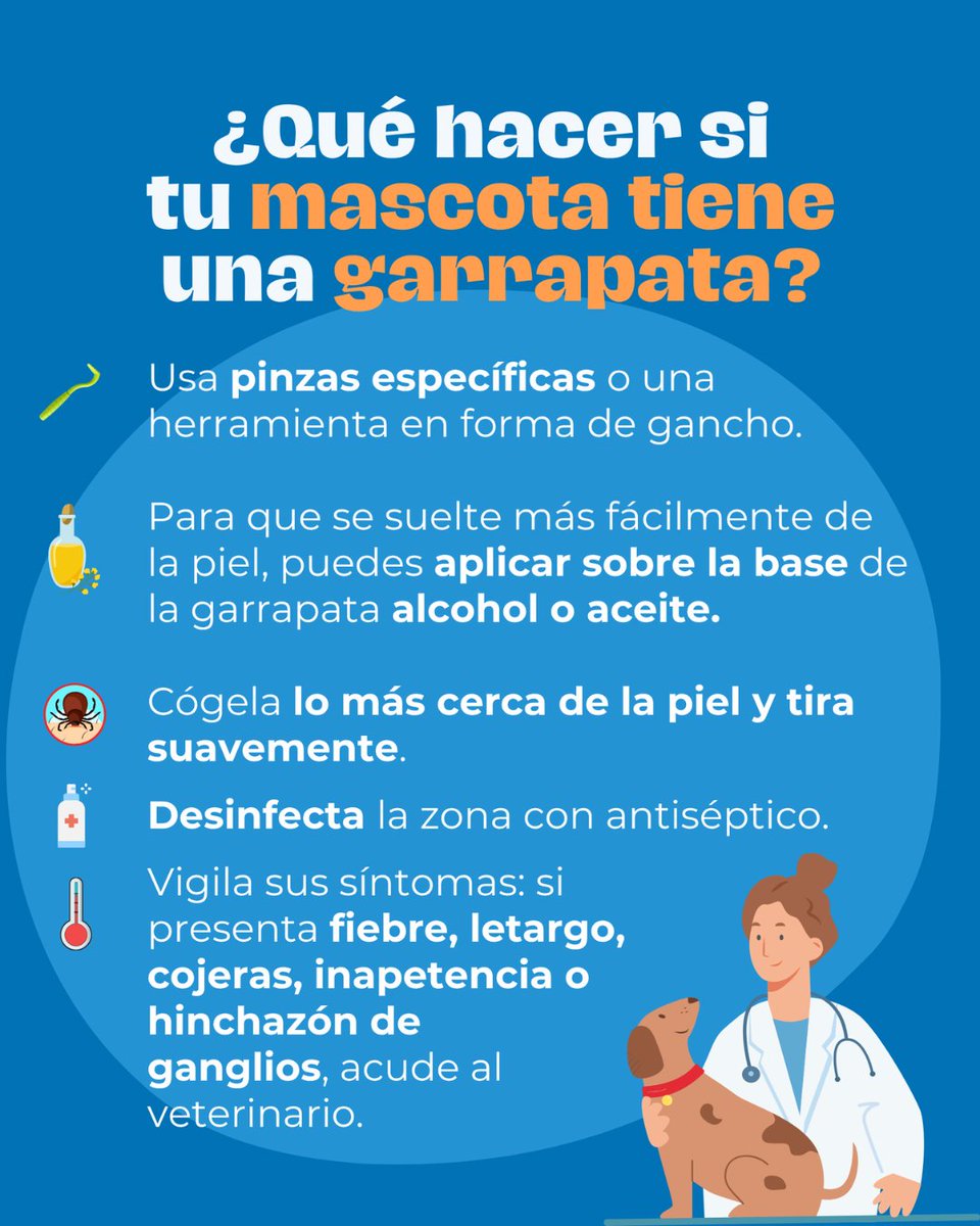 Con el calor, las garrapatas están más activas en parques, senderos y jardines…
👉 En este carrusel te mostramos las enfermedades más comunes que pueden transmitir a nuestros perros, cómo prevenirlas con medidas simples y efectivas.
