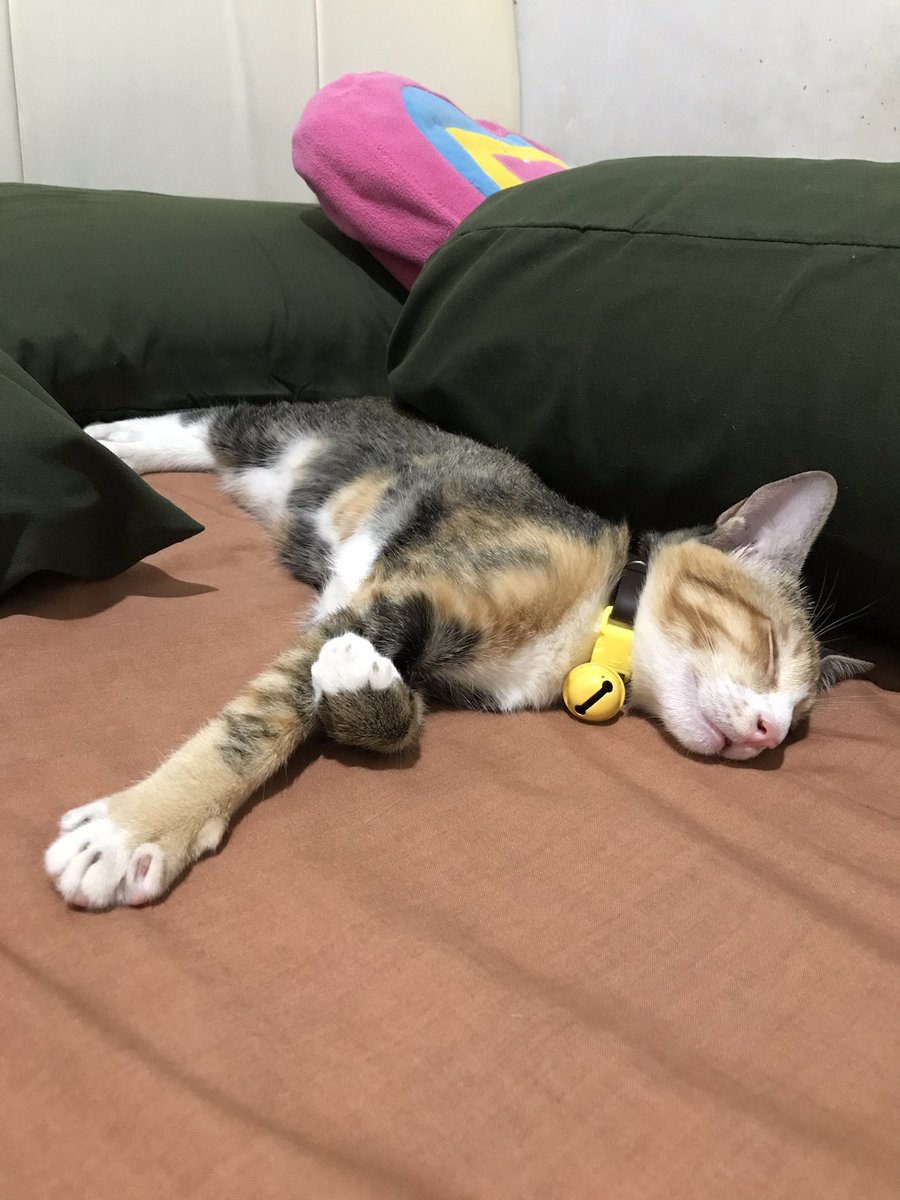 bangun dd.. maghrib gini gak boleh tidur