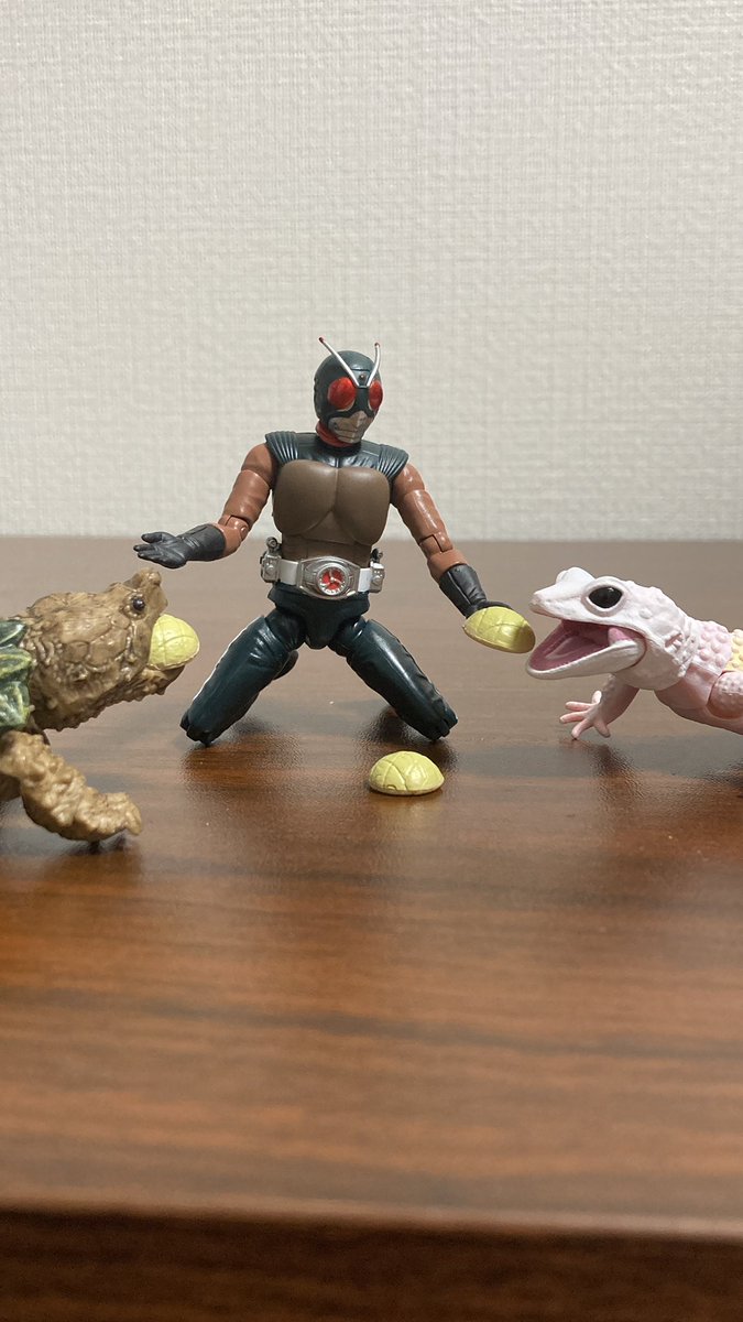 seaman_hobby's tweet image. #いきものEXPO
飛魚
鋏脚
給餌
咬牙