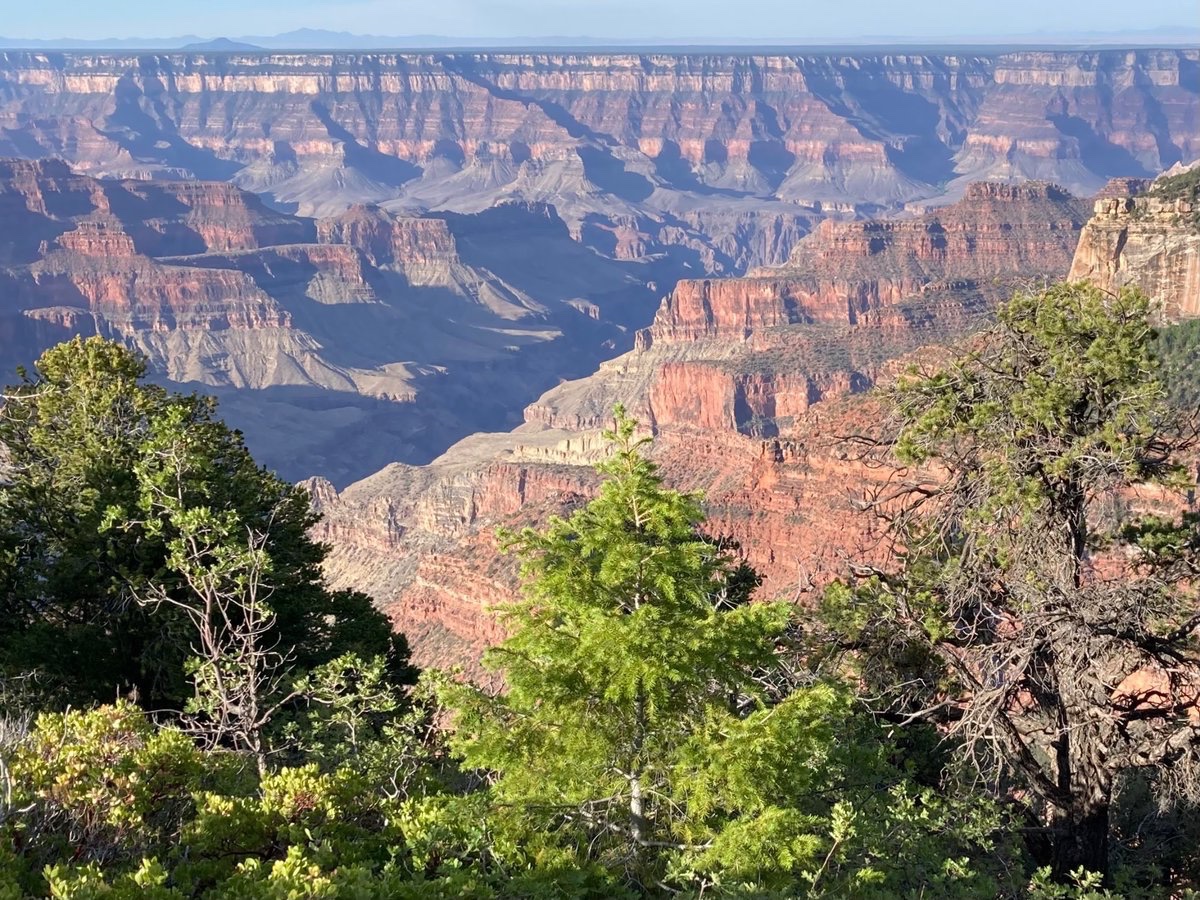 wildcreativity's tweet image. Time
and a river flowing
sculpting grandeur.
#haiku #NaturePhotography
Grand Canyon NP