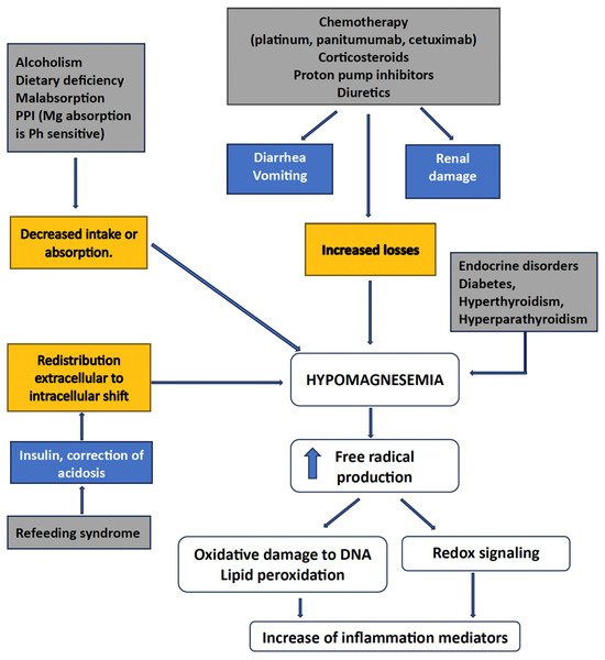 🔬 RicardoMontes (@_mcricardo_) on Twitter photo A Practical Narrative Review on the Role of Magnesium in Cancer Therapy
mdpi.com/2072-6643/17/1… <a href="/DHPSP/">Digital Health and Patient Safety Platform</a> <a href="/guani_vic/">Sagittarius🧠🌞</a> A Practical Narrative Review on the Role of Magnesium in Cancer Therapy
mdpi.com/2072-6643/17/1… <a href="/DHPSP/">Digital Health and Patient Safety Platform</a> <a href="/guani_vic/">Sagittarius🧠🌞</a>