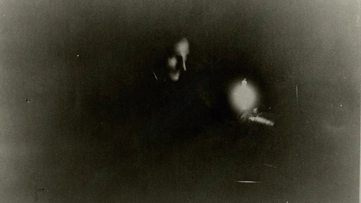 fermatslibrary's tweet image. Nikola Tesla was born 169 years ago this Thursday. This picture of Tesla, taken in 1894, is the first photograph ever taken by phosphorescent light. The time of exposure: eight minutes