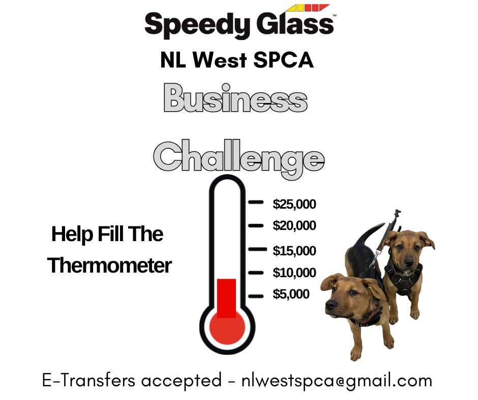 nlwestspca's tweet photo. 8, 500 out of 25,000 goal.  The Speedy Glass Business Challenge is still going on for 5 more days.  Please help us build our vet care fund by donating e-transfers can be made to nlwestspca@gmail.com.  Thank you #cornerbrook #westernnl contact us for more info https://t.co/zE4gPiNxHT