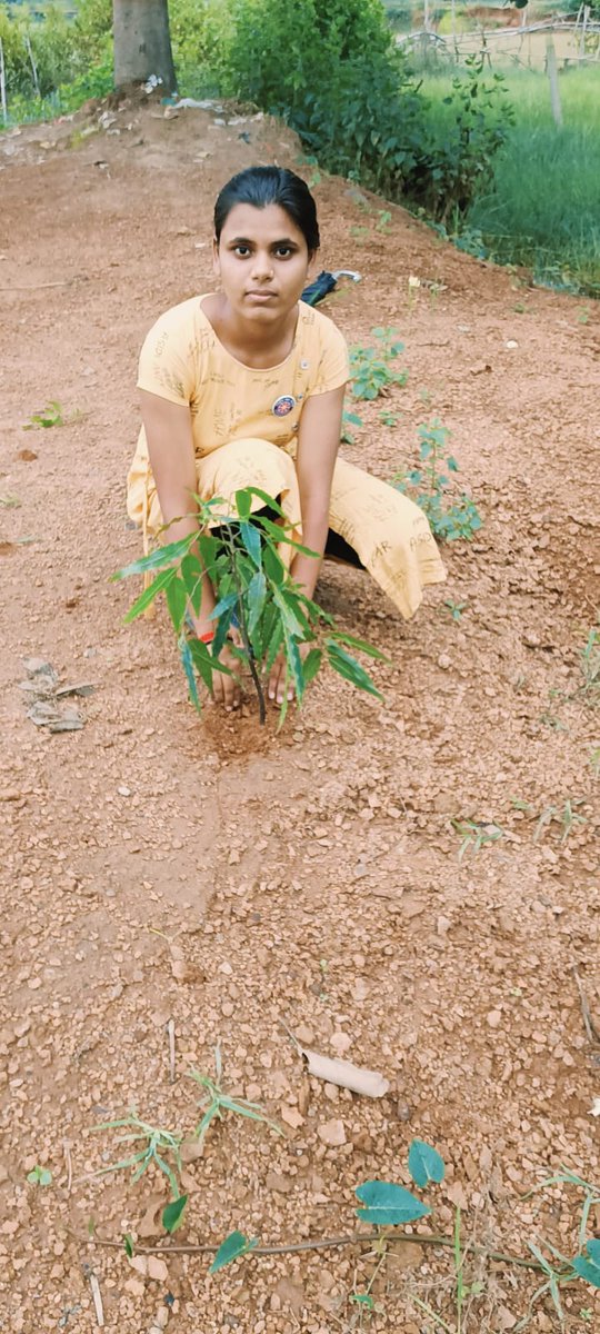 Nidhi Yadav (@jawaharyad16064) on Twitter photo Govt . EVPG College Korba Nss
Plantation on guru purnimaЁЯЩП
<a href="/_NSSIndia/">NSS India</a> <a href="/MYBharatND/">MYBharat New Delhi</a> @Nssddelhi @NssRdbhopal <a href="/Rajkumarnss/">рд░рд╛рдЬрдХреБрдорд╛рд░ рд╡рд░реНрдорд╛ Rajkumar verma</a> @Neetabajpai5 @Nsschhattisgarh <a href="/Abvvbilaspurcg/">Atal Bihari Vajpayee Vishwavidyalaya, Bilaspur</a> @nssabvucg <a href="/manojsinha812/">Manoj Sinha</a> @YKtiwari68 <a href="/Ajaykpatel04/">Ajay Kumar Patel</a> Govt . EVPG College Korba Nss
Plantation on guru purnimaЁЯЩП
<a href="/_NSSIndia/">NSS India</a> <a href="/MYBharatND/">MYBharat New Delhi</a> @Nssddelhi @NssRdbhopal <a href="/Rajkumarnss/">рд░рд╛рдЬрдХреБрдорд╛рд░ рд╡рд░реНрдорд╛ Rajkumar verma</a> @Neetabajpai5 @Nsschhattisgarh <a href="/Abvvbilaspurcg/">Atal Bihari Vajpayee Vishwavidyalaya, Bilaspur</a> @nssabvucg <a href="/manojsinha812/">Manoj Sinha</a> @YKtiwari68 <a href="/Ajaykpatel04/">Ajay Kumar Patel</a>