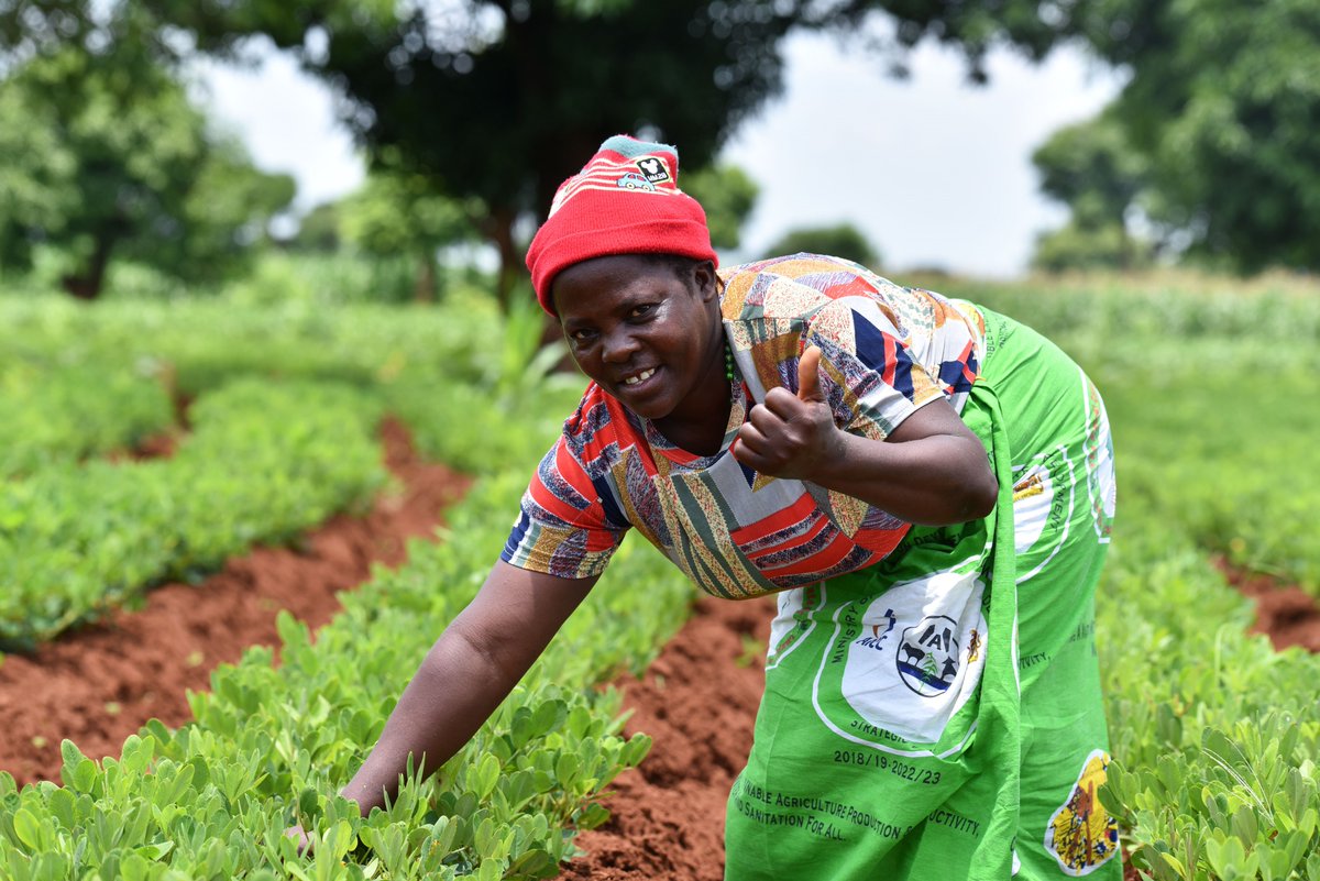 unwomenmalawi's tweet image. 👩🏾🌾 15 Years of Impact
Fact #8: In Malawi, UN Women is empowering rural women through Climate Smart Agriculture🌱-growing incomes, fighting hunger, and protecting the planet.
🔗👉africa.unwomen.org/en/news-and-ev…
#ForAllWomenAndGirls