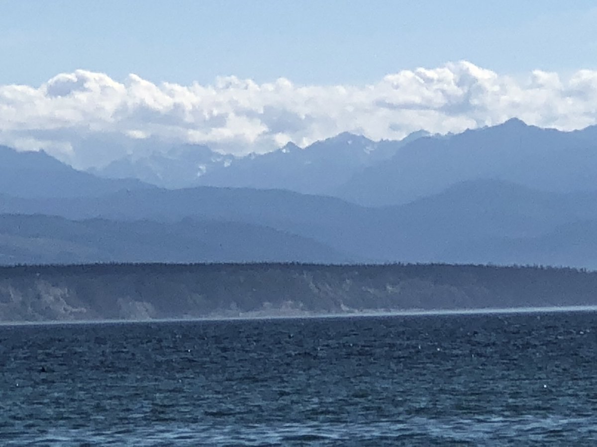 A great day for adventures friends!

Whidbey Island is a great place to experience many different things :)