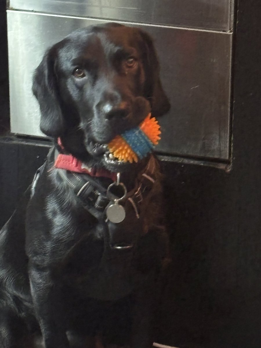 E J Murphy MSc, FIPM tweet media