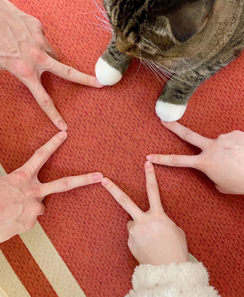 #cat