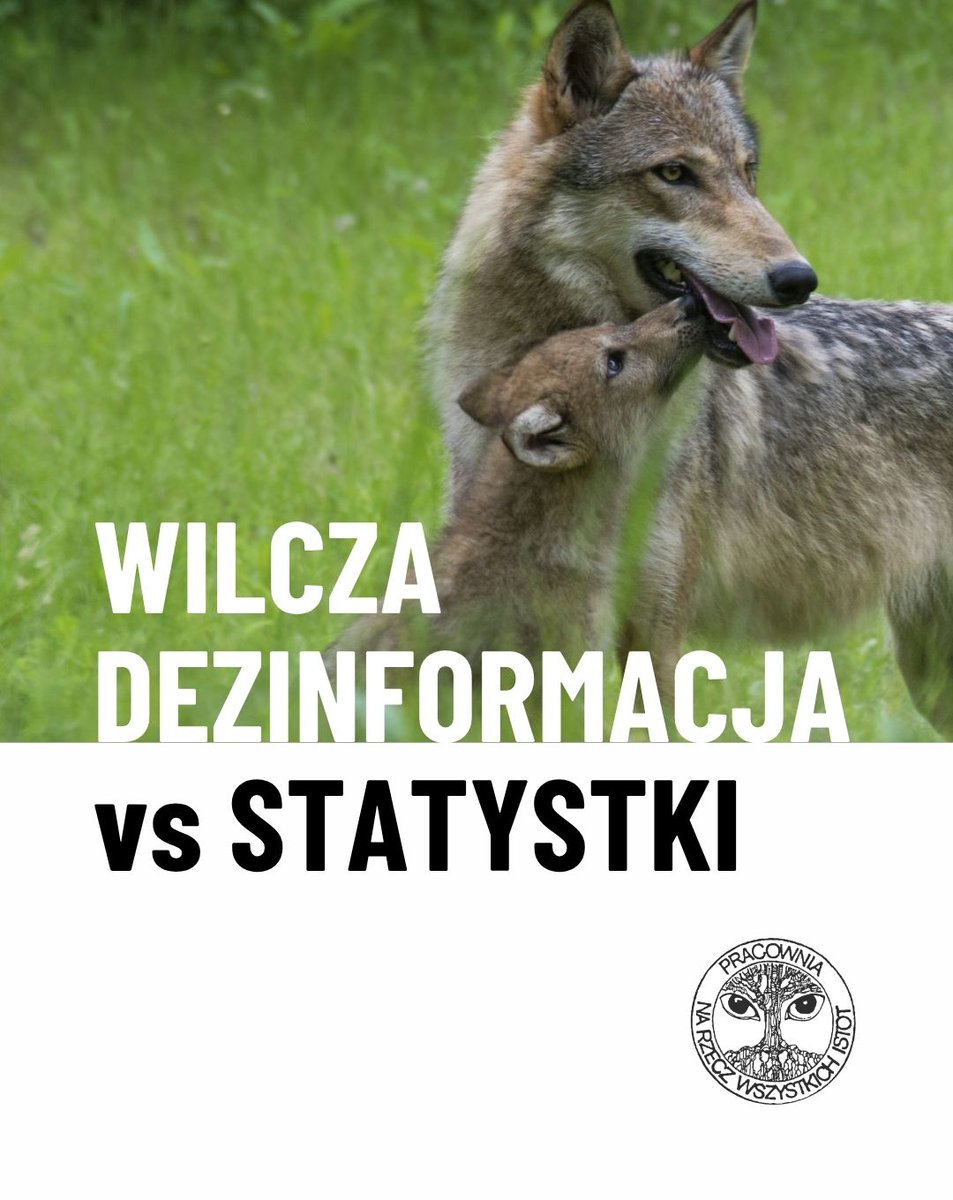 🐺🐺 Wczoraj braliśmy udział w posiedzeniu Komisji Ochrony Środowiska, Zasobów Naturalnych i Leśnictwa, które zostało zwołane na wniosek grupy posłów w związku z rzekomym zaniepokojeniem mieszkańców Podkarpacia liczbą konfliktowych zdarzeń z wilkami. 

📉 Zgodnie z