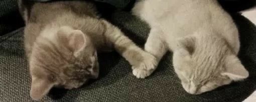 gal౨ৎ (@prtygal777) on Twitter photo 