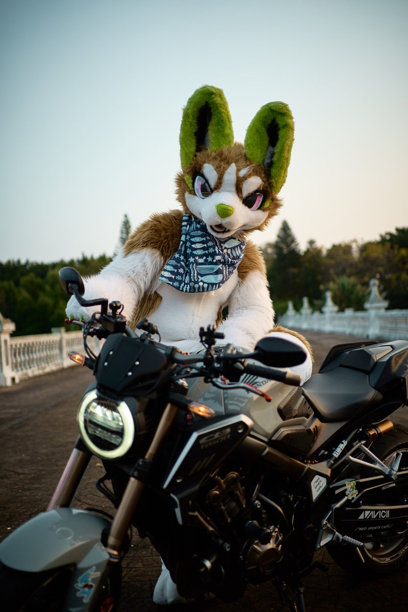 一直下雨~ 好想出門騎車喔!
#FursuitFriday 
#fursuitfriday